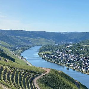 Ferienwohnungen Und Gaestezimmer Peter Busch